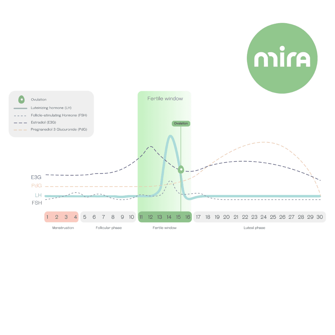 Chart of a menstrual cycle's hormone levels, with the Mira logo