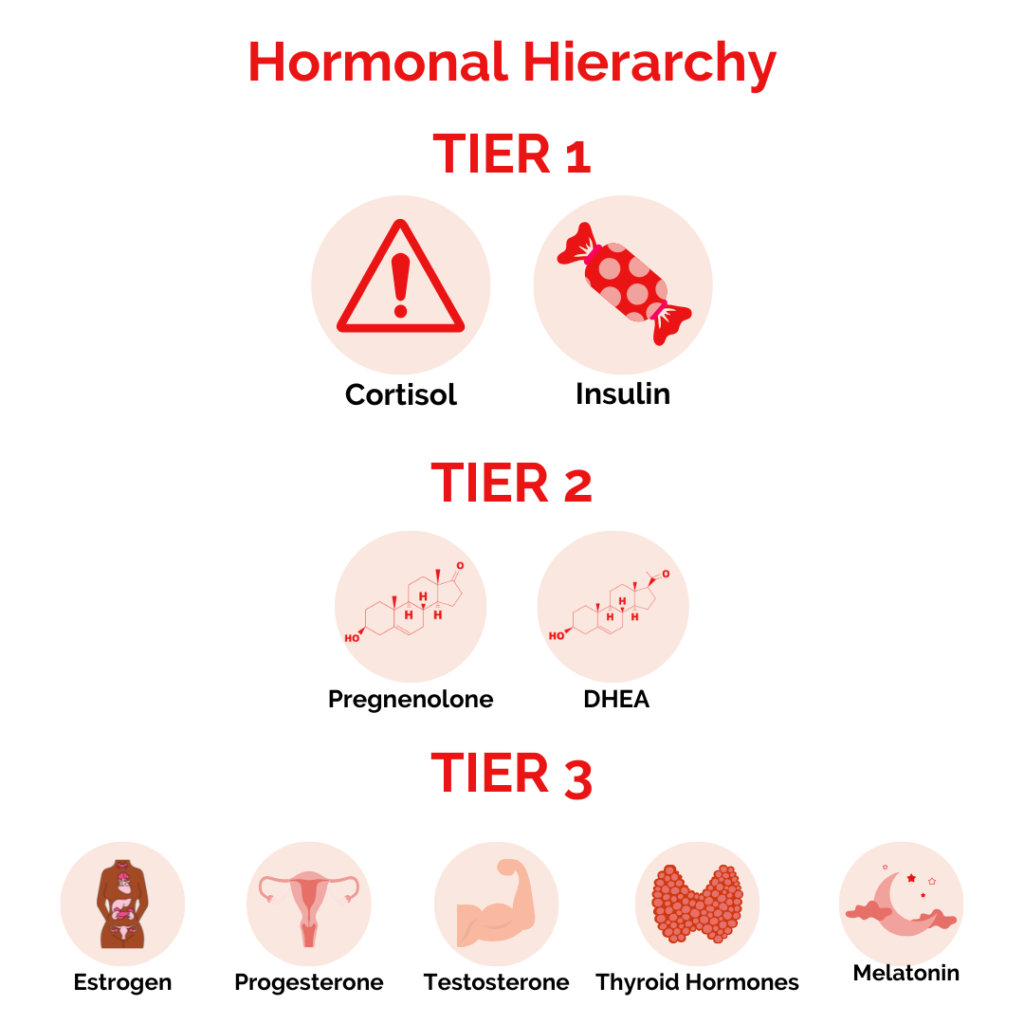 Hormonal Hierarchy