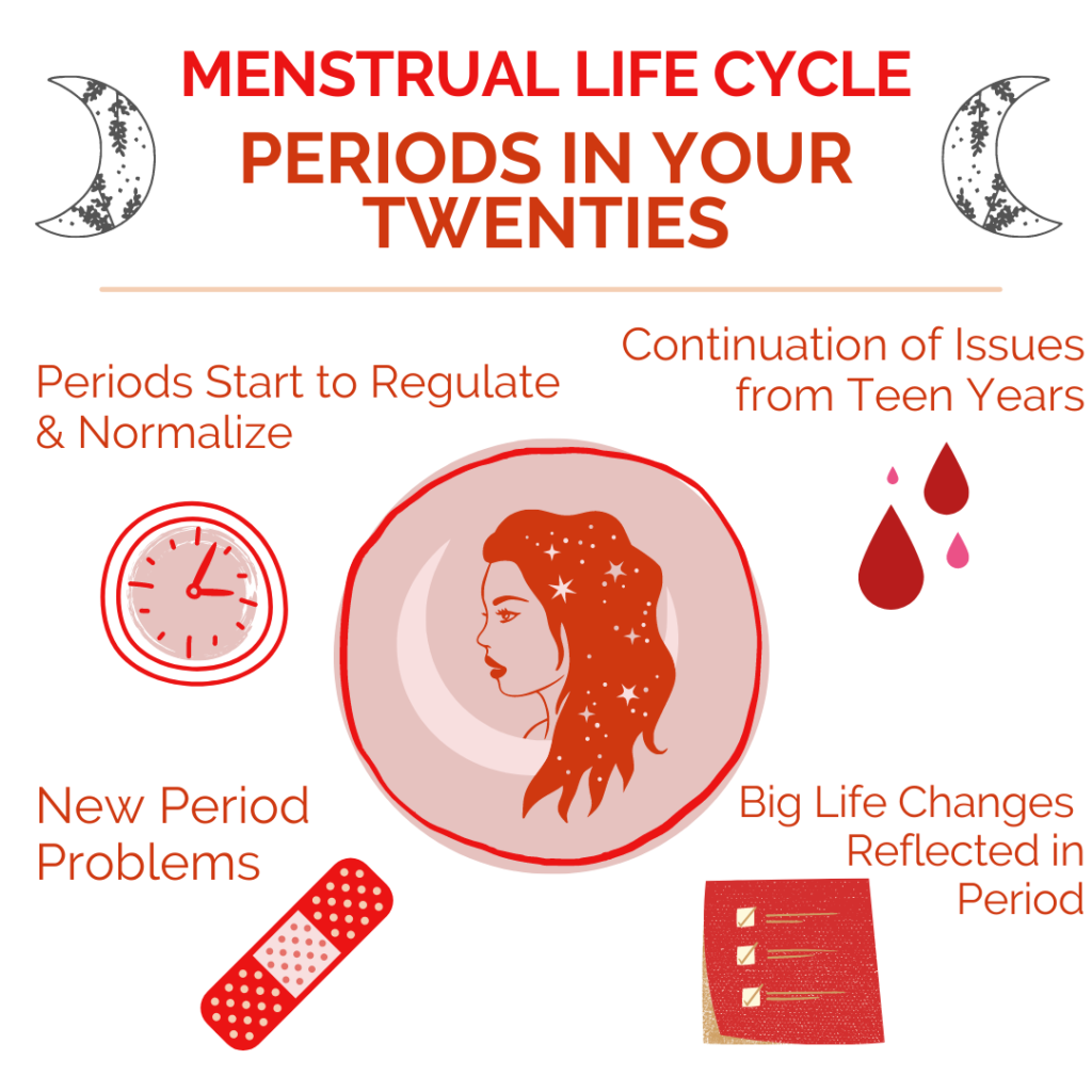 Menstrual Life Cycle - Periods in Your Twenties