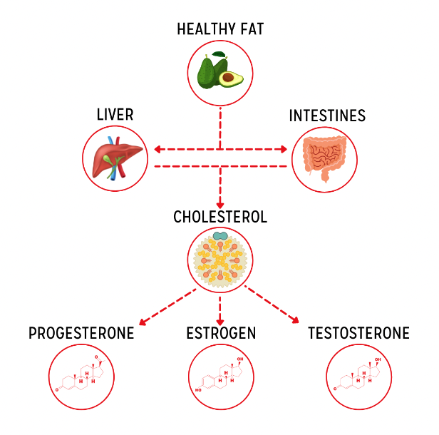 Women's Hormone Health Certification Program