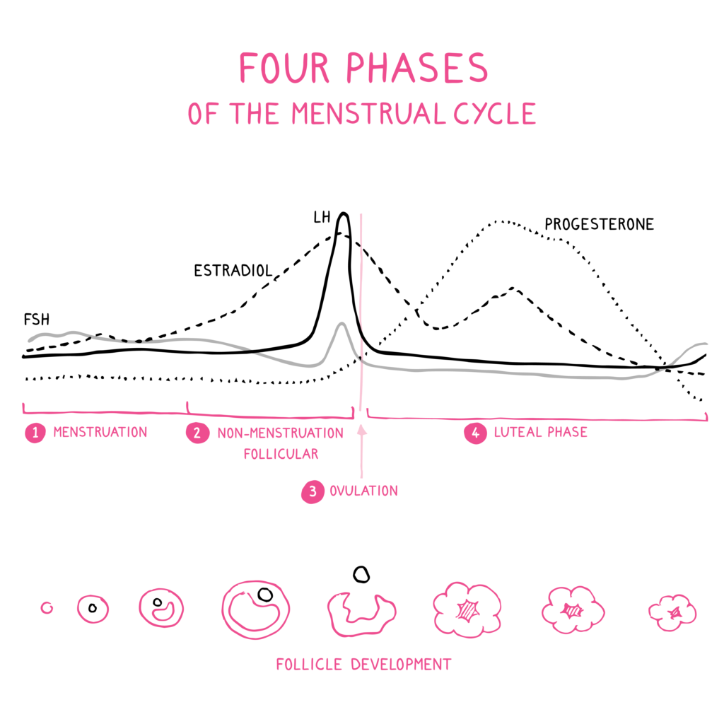 Start and stop periods Archives - Nicole Jardim